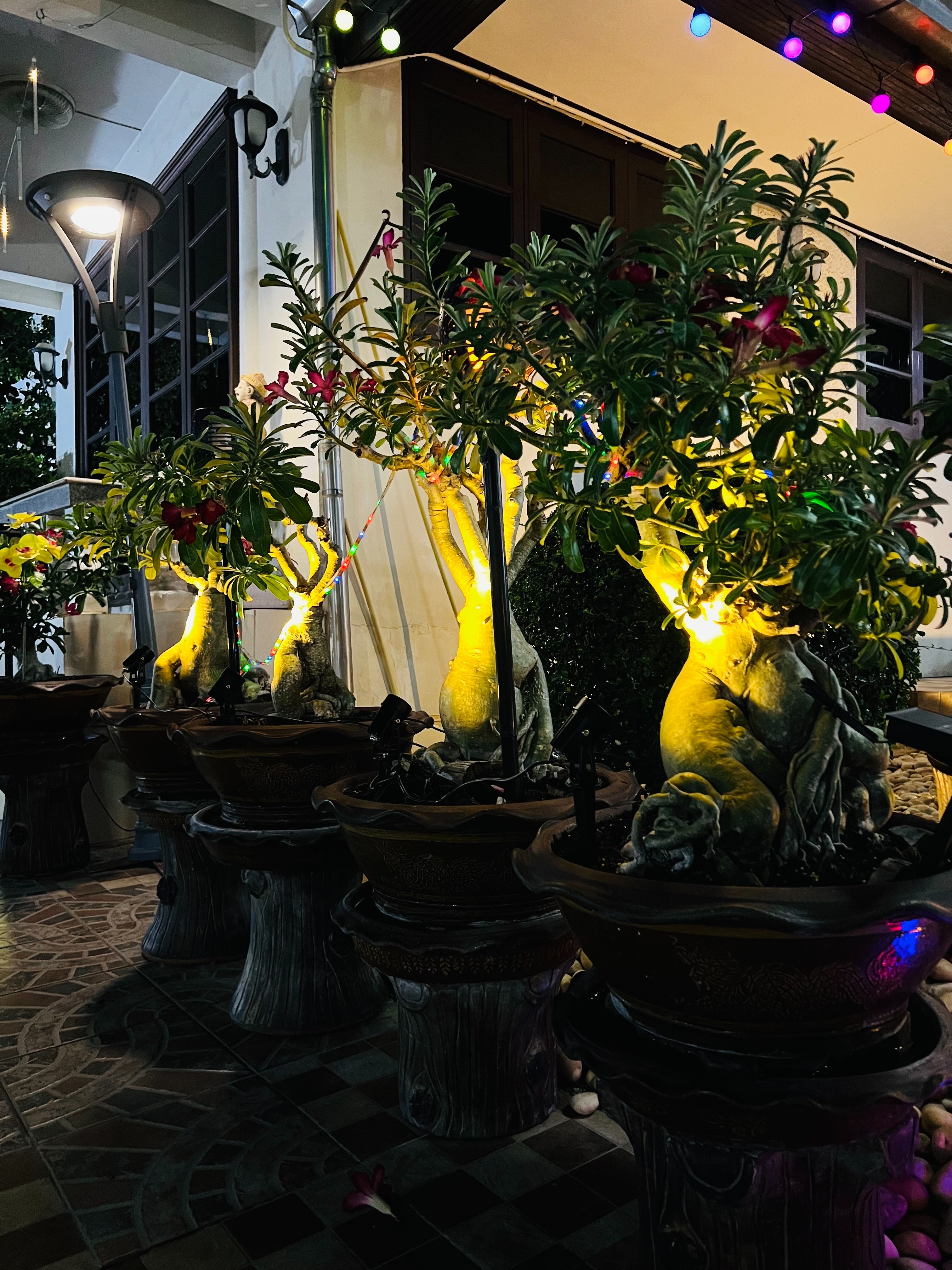 สปอร์ตไลท์ปักสนามโซล่าเซลล์ DC-17 รุ่น 4 หัว สาย 3 เมตร (แสง : เหลืองวอมไวท์)