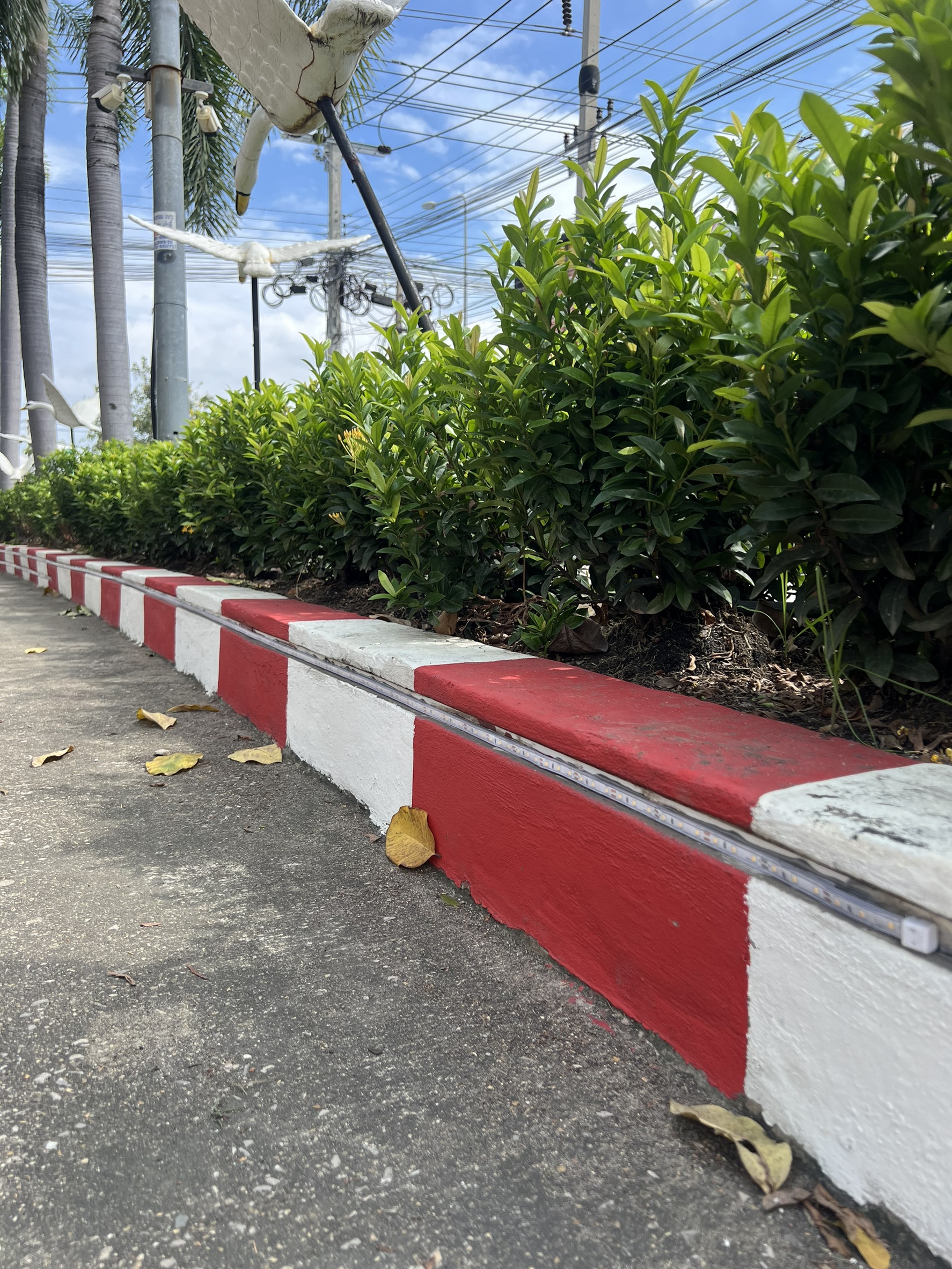 ไฟเส้นโซล่าเซลล์ รุ่น MD-SOLAR-SL10M / 20M / 30M / 50M (แสงเหลืองวอมไวท์)