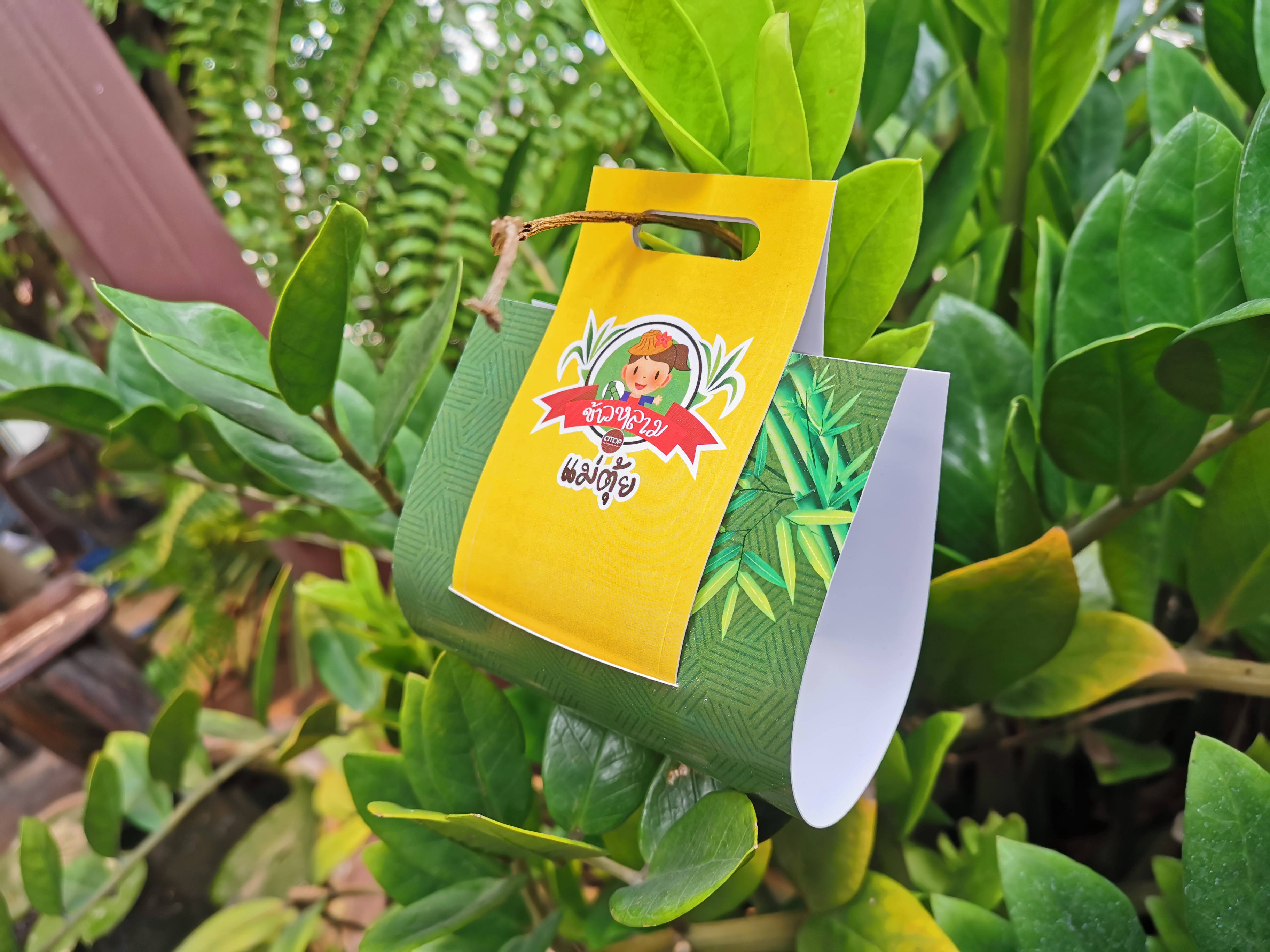 กล่องเปลือย สายคาดกระปุกครีม ขวดครีม