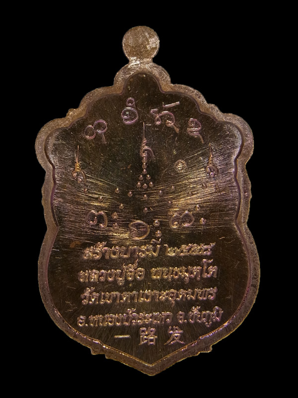 เหรียญเสมาสร้างบารมี หลวงปู่จื่อ ปี2559