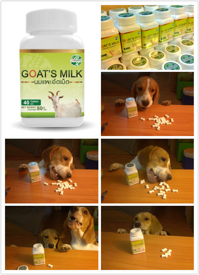รีวิว นมแพะอัดเม็ด แบรนด์ i Organic Pet Shop