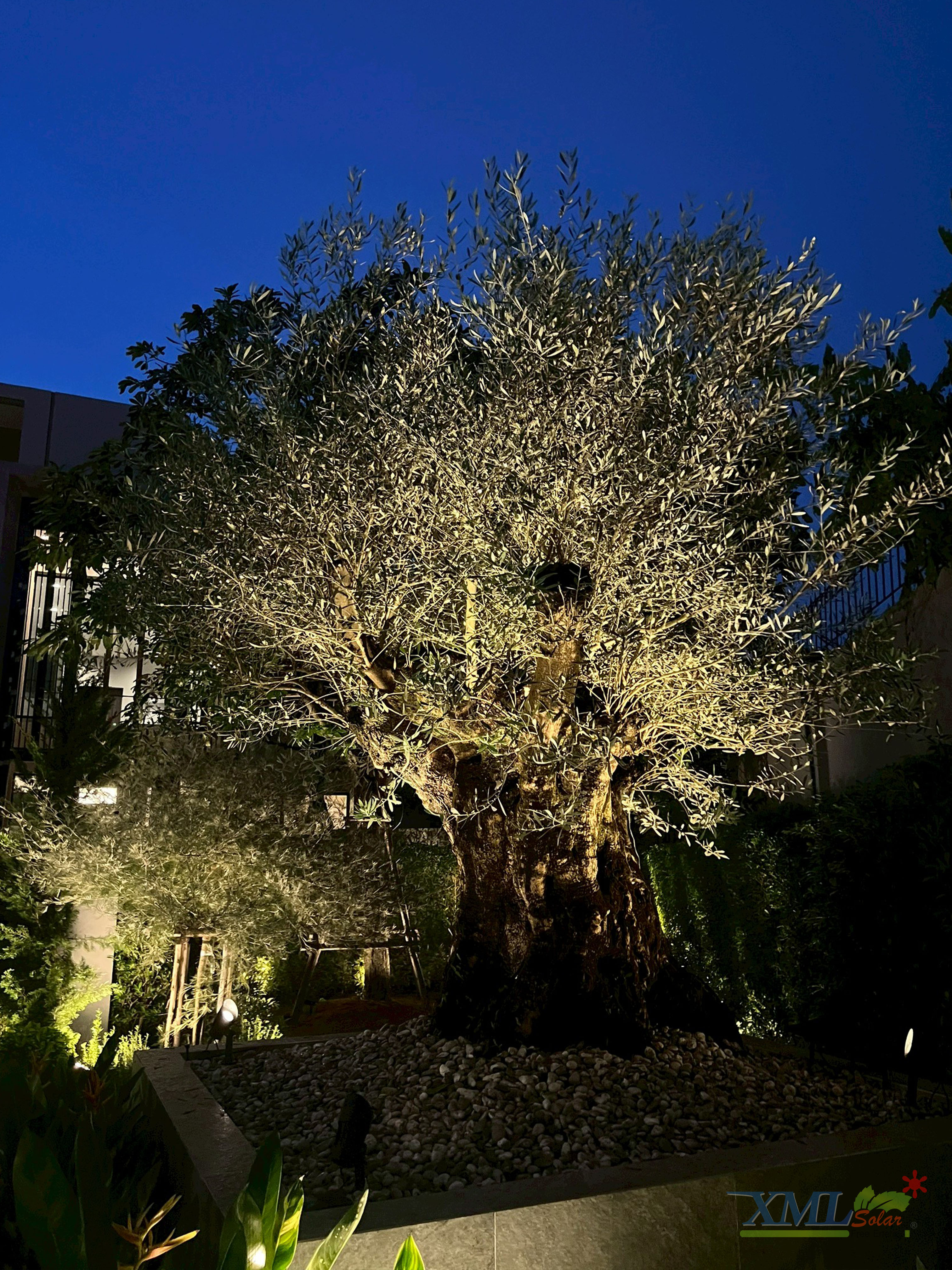 โคมไฟปักสนามโซล่าเซลล์ แพ็ค 4 ดวง รุ่น MD-SSL88 (แสง : เหลืองวอมไวท์)