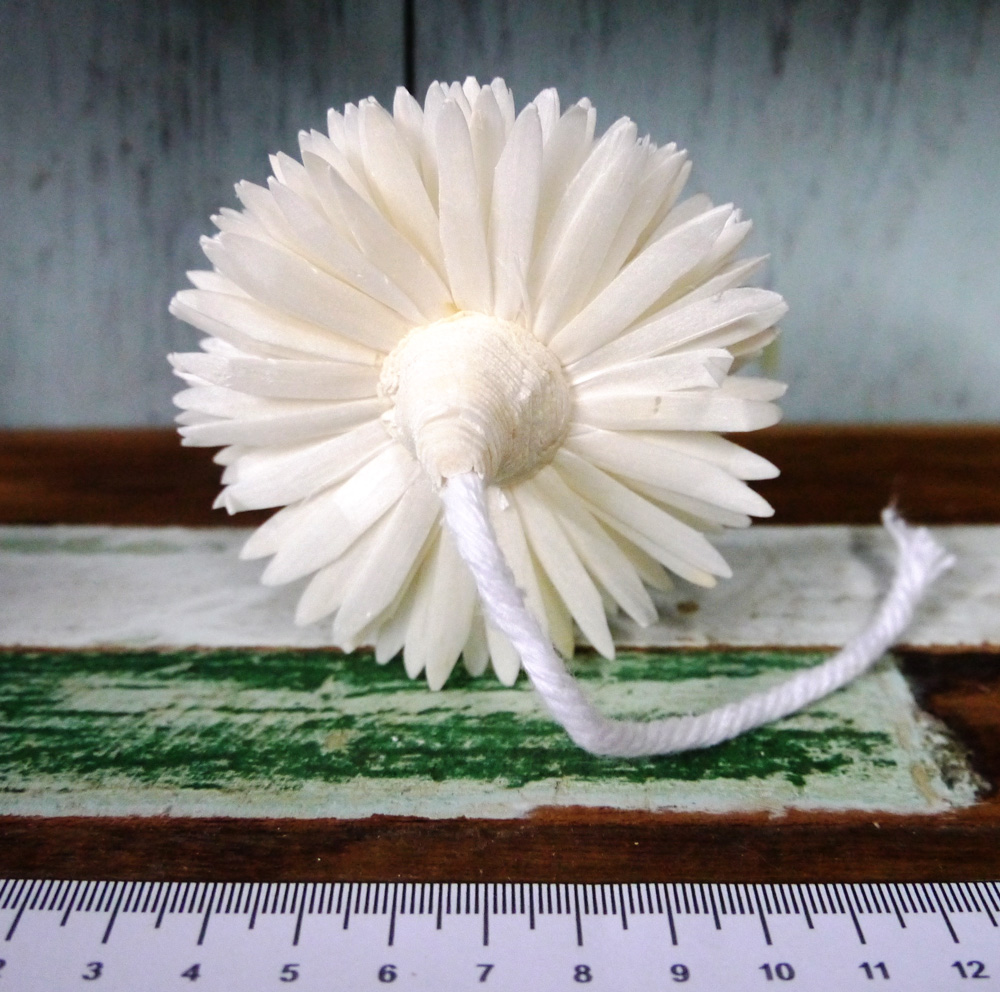 ดอกเยียบีร่า 8cm ติดเชือก