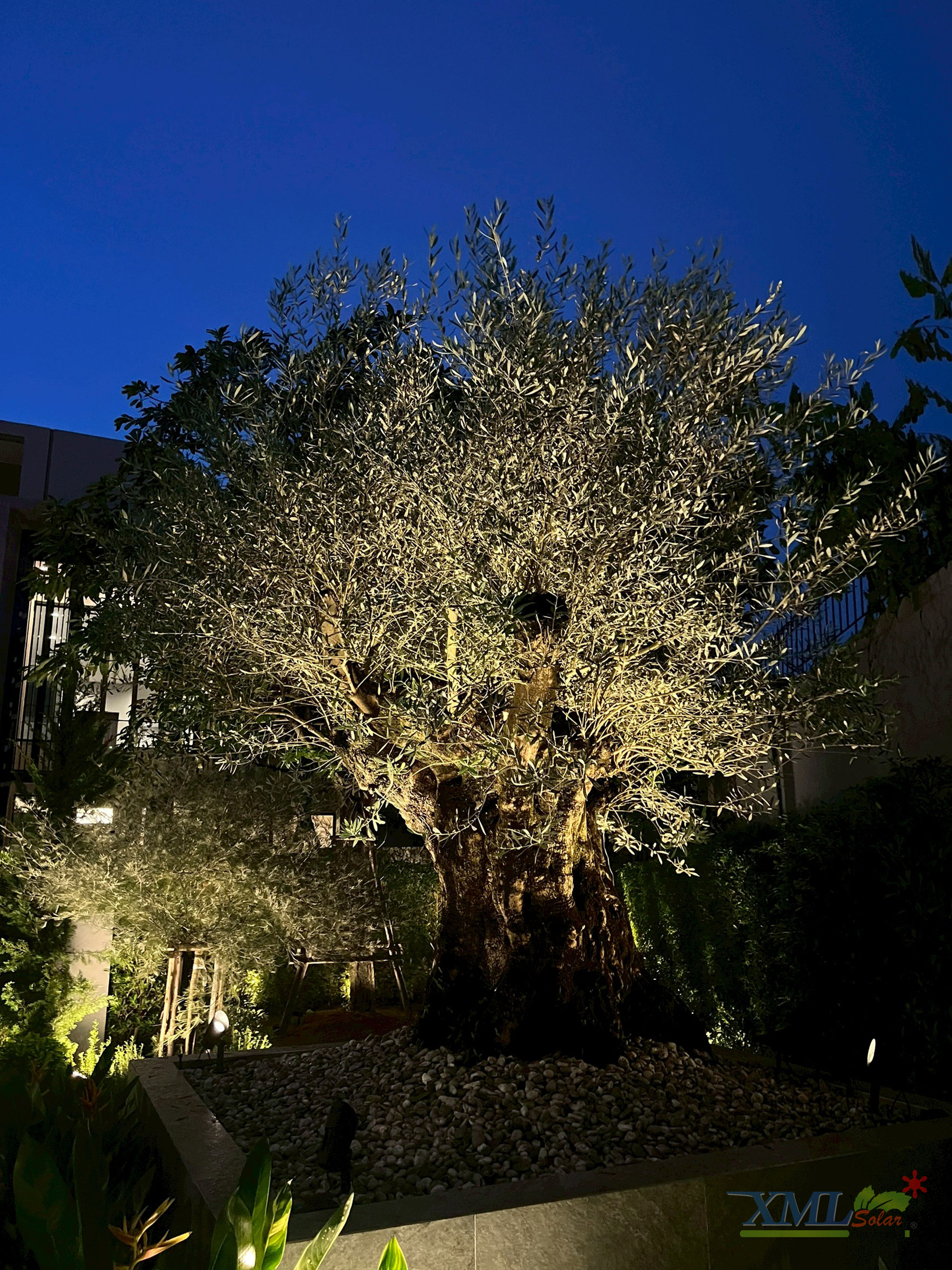 โคมไฟปักสนามโซล่าเซลล์ แพ็ค 4 ดวง รุ่น MD-SSL88 (แสง : เหลืองวอมไวท์)