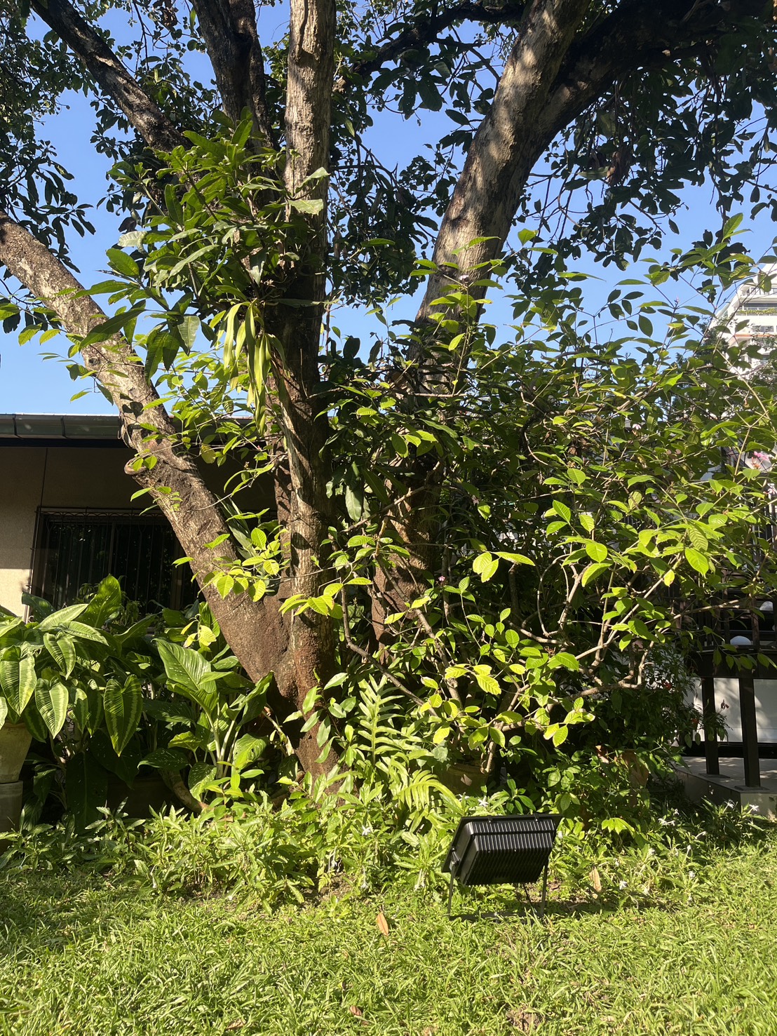 ไฟสปอตไลท์โซล่าเซลล์ 300 Watt กล่องสีน้ำตาล (เปิดได้ 3 แสง)