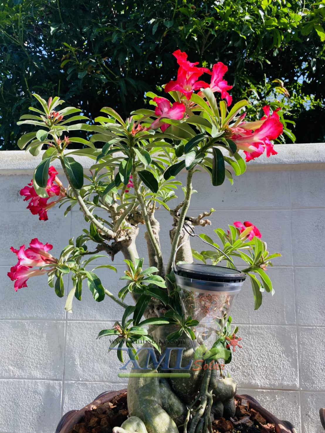 โคมไฟห้อยโซล่าเซลล์ ทรงกรวย รุ่น เม็ดChip (เปิดได้ 3 ฟังก์ชั่น) (แสง : เเหลืองวอมไวท์)