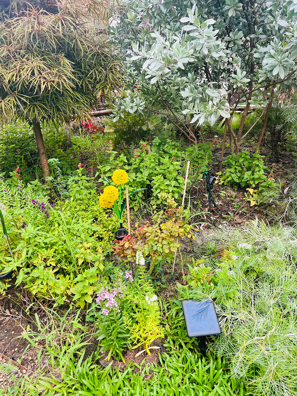 สปอร์ตไลท์ปักสนามโซล่าเซลล์ DC-16 รุ่น 2 หัว สาย 3 เมตร (แสง : เหลืองวอมไวท์)