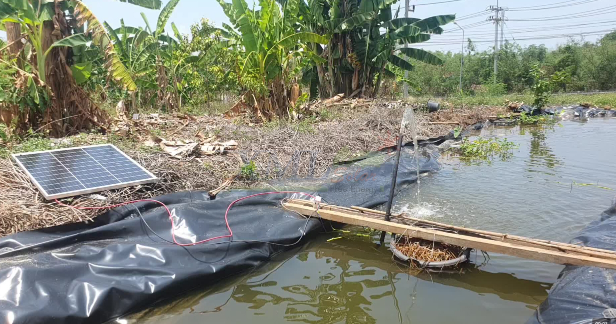 ปั๊ม DC 24 V (ปั๊มสีน้ำเงินเเดง) พร้อม เเผงโซล่าเซลล์ โค้งงอได้ 120W