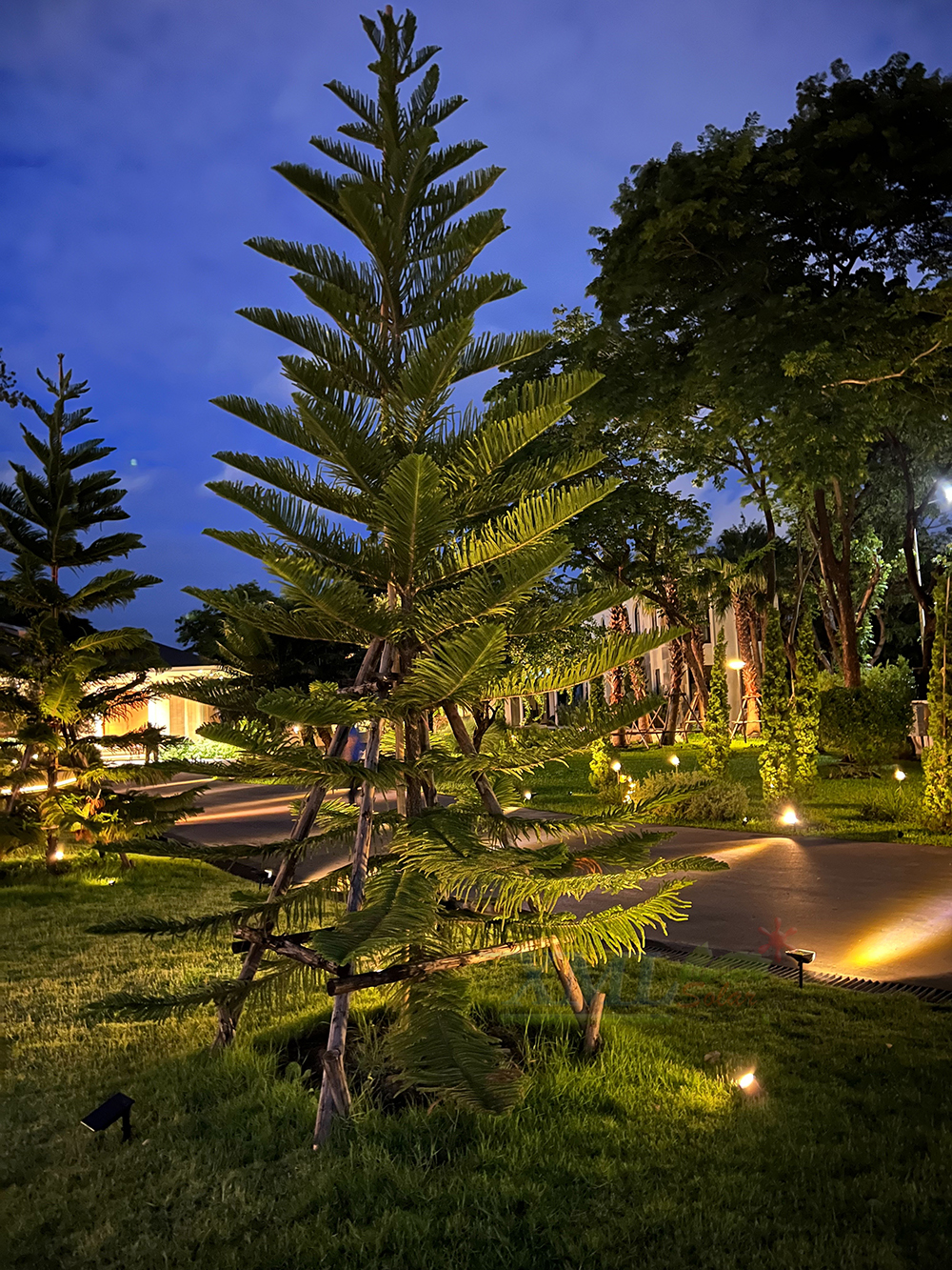 สปอร์ตไลท์ปักสนามโซล่าเซลล์ รุ่น SSL-001