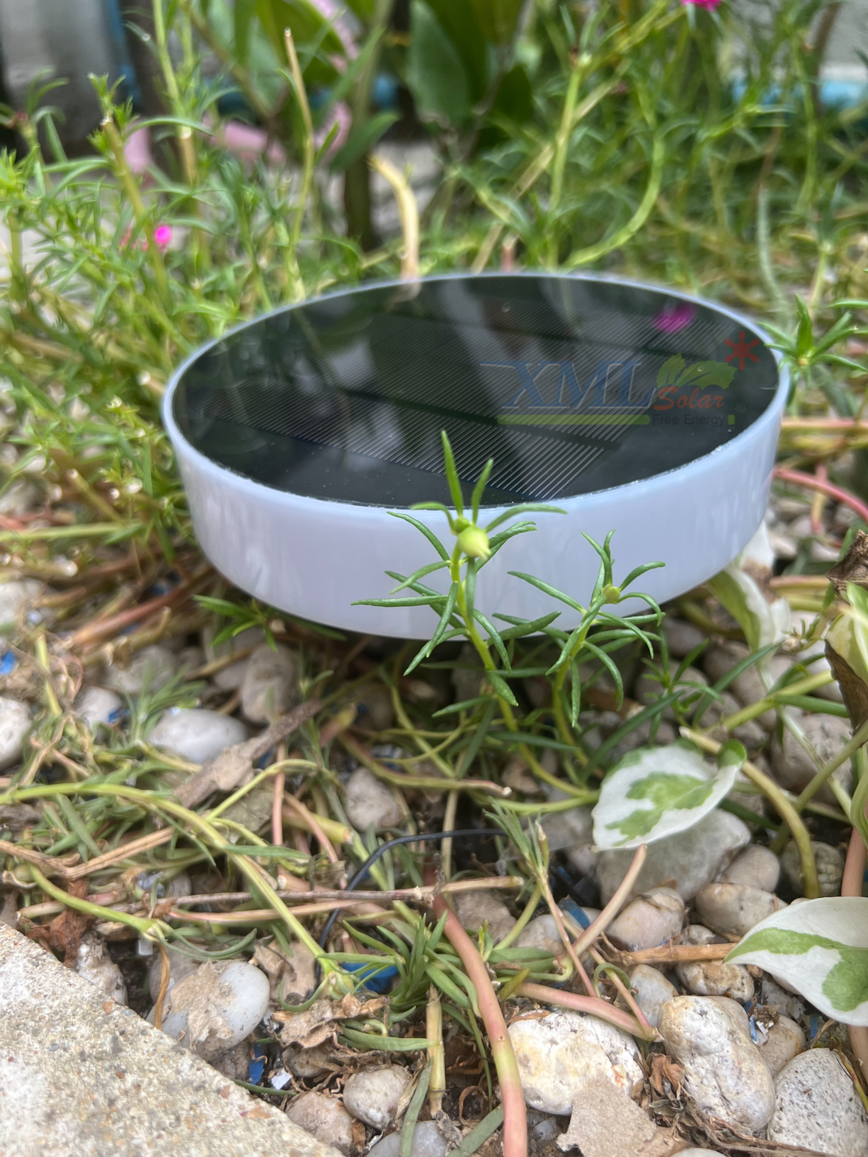 โคมไฟฝังพื้นโซล่าเซลล์ ทรงกลม รุ่น DPD-0544 (แสงขาว + เหลืองวอมไวท์)