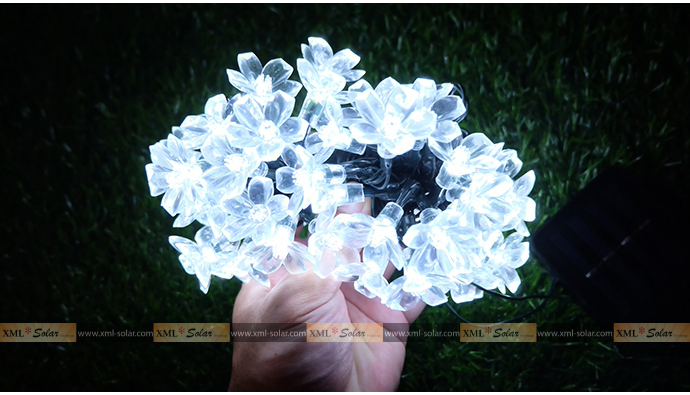 ไฟกระพริบโซล่าเซลล์ รูป ดอกไม้ 50 ดอก (เเสง : ขาว)