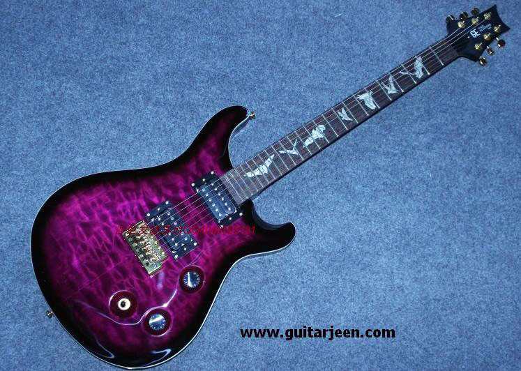 PRS.Style SE Paul Allender Custom