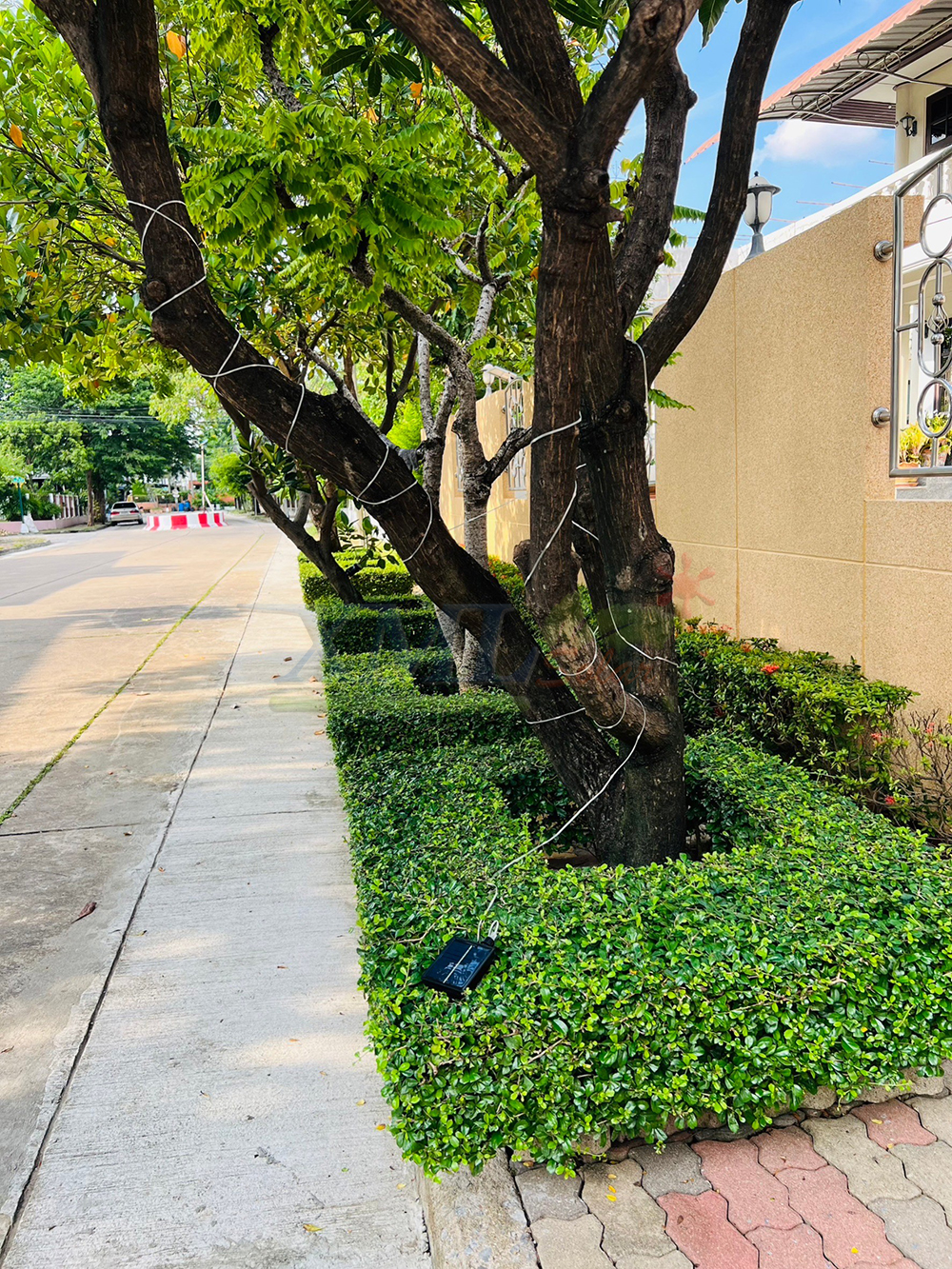 ไฟกระพริบโซล่าเซลล์ รุ่นใหม่สายขาว ยาว 10 เมตร (เเสง : เหลืองเข้ม)