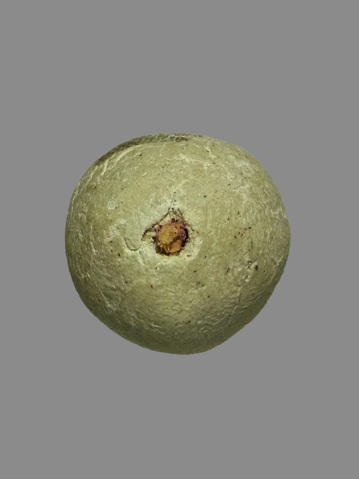 ลูกอมผงพรายกุมาร รุ่นแรก หลวงพ่อสาคร วัดหนองกรับ ปี2530