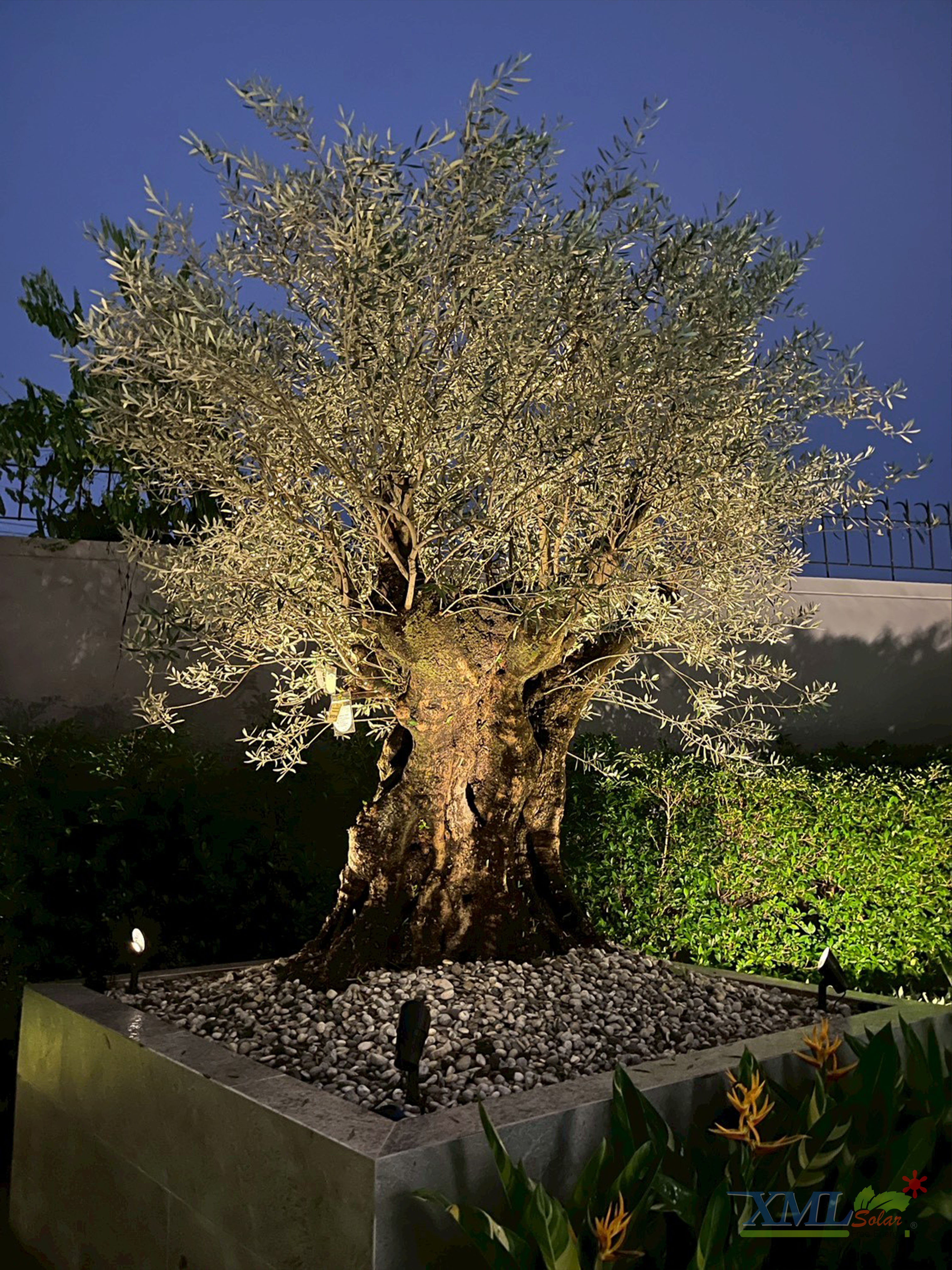 โคมไฟปักสนามโซล่าเซลล์ แพ็ค 4 ดวง รุ่น MD-SSL88 (แสง : เหลืองวอมไวท์)