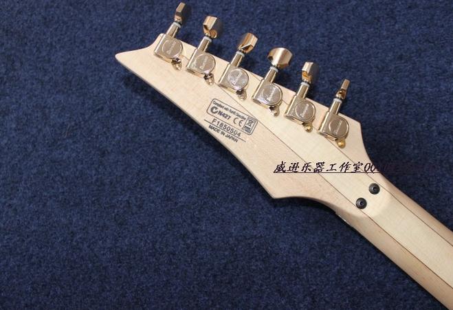 IbanezStyle egen8 dragonforce