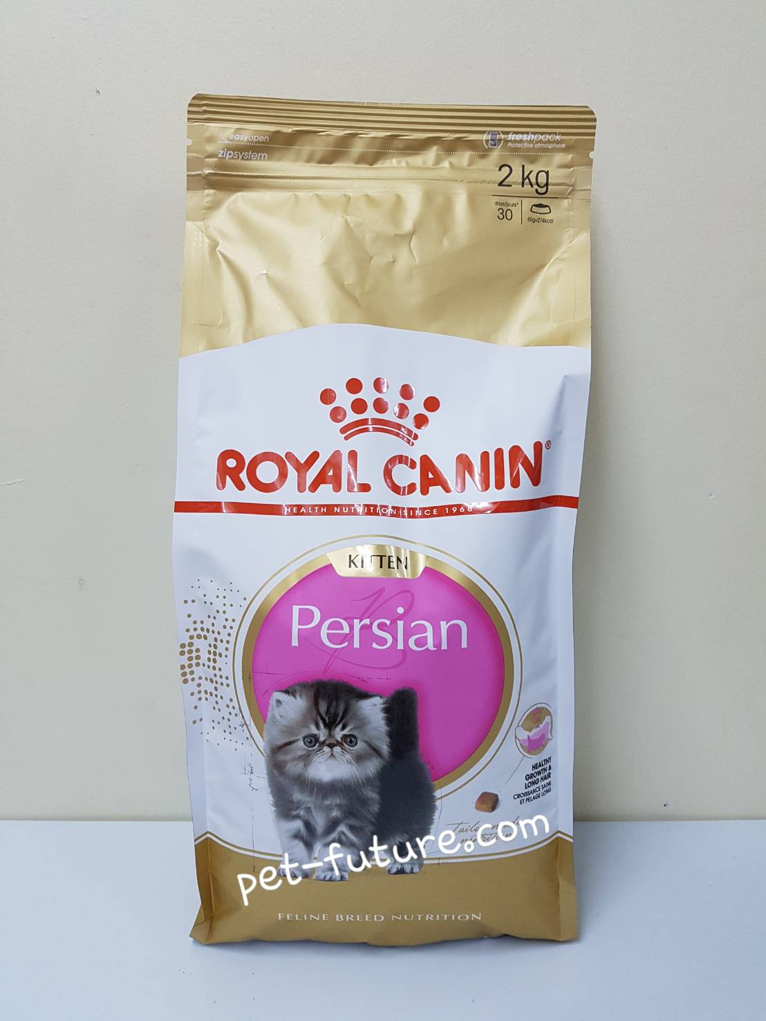 FBN Kitten Persian ลูกแมว 4 เดือน ถึง 12 เดือน ขนาด 2 kg.