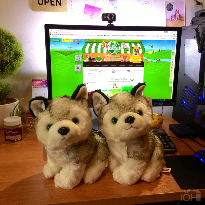 ตุ๊กตาน้องหมาไซบีเรียนฮัสกี 30 cm