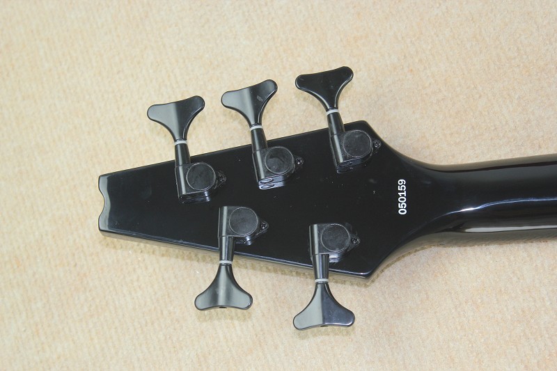 Modulus 5 strings bass