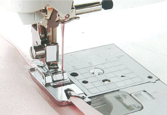 ตีนผีม้วนริมแบน