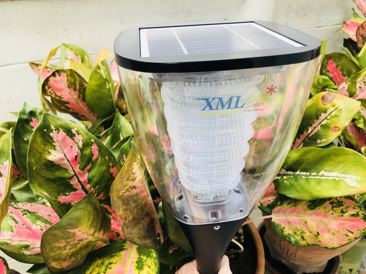 ไฟตั้งพื้นสนามโซล่าเซลล์ ทรงถ้วย (เเสง : ขาว)(1 แถม 1)