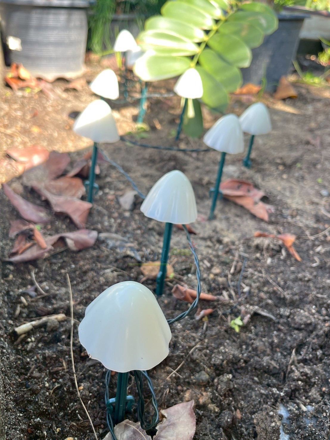 ไฟปักสนามโซล่าเซลล์ รูปเห็ด