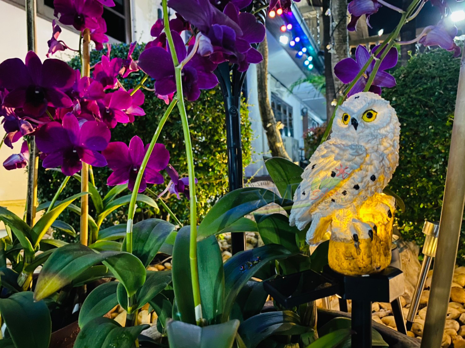 ไฟตุ๊กตาโซล่าเซลล์ ประดับสวน นกฮูก 1 LED (แสง : เหลืองวอมไวท์) 1 แถม 1