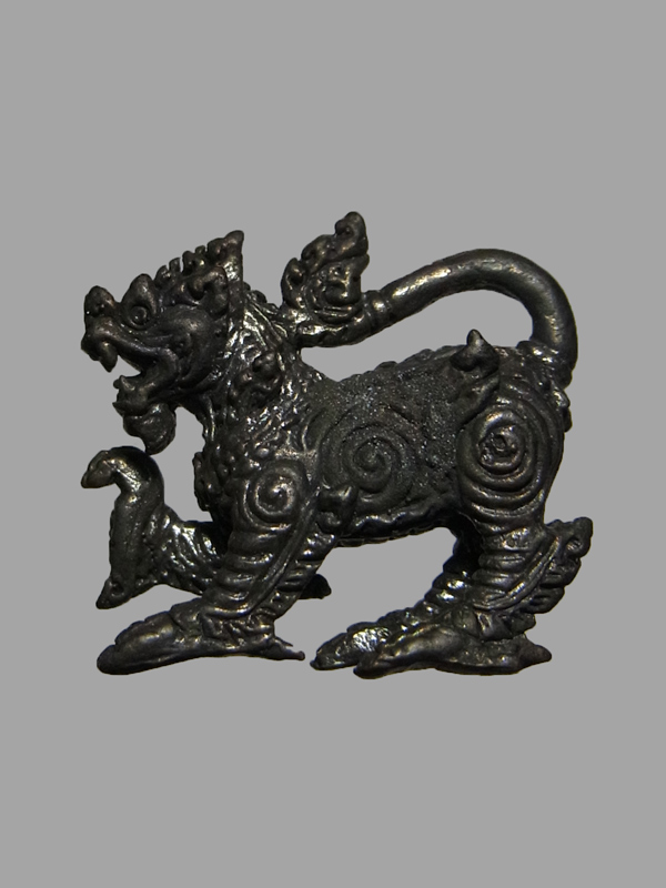 สิงห์ หลวงปู่หงษ์ พรหมปัญโญ ปี2548