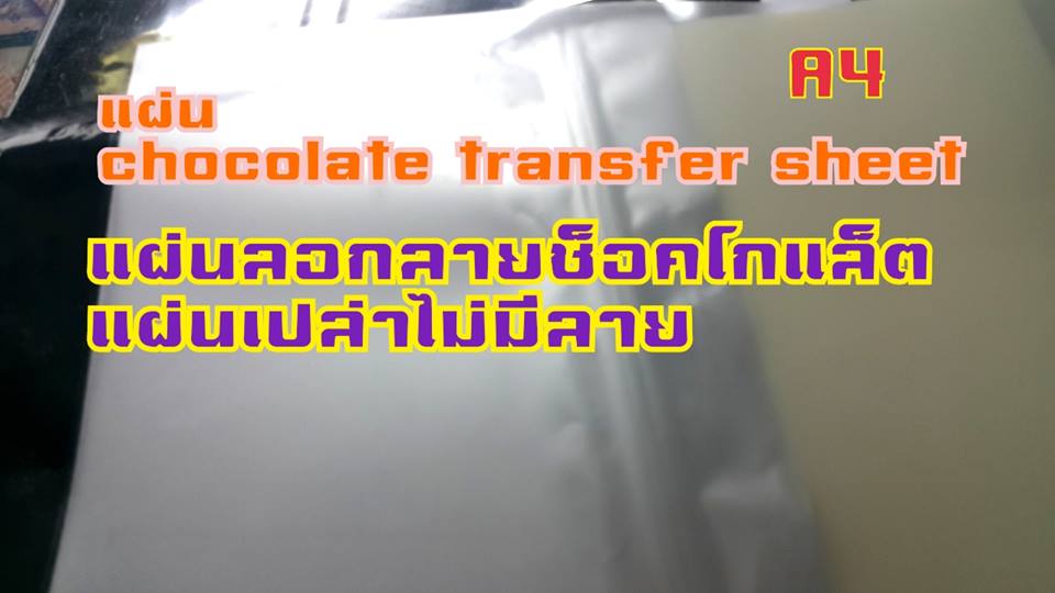 แผ่น ลอกลาย แผ่นเปล่า
