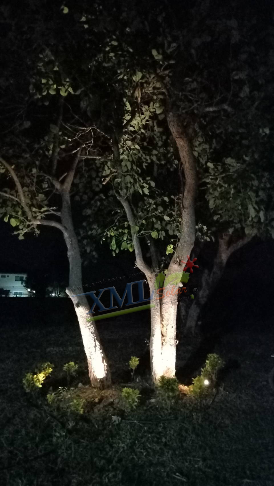 สปอร์ตไลท์ปักสนามโซล่าเซลล์ (รุ่น 4 หัว) (เเสง : เหลืองวอมไวท์)