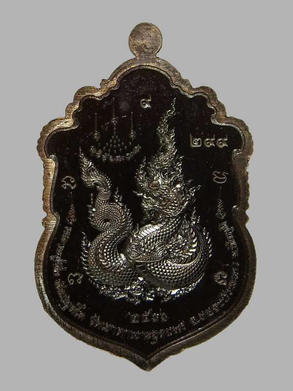 เหรียญเสมานาคราชบันดาลทรัพย์ หลวงปู่จื่อ วัดเขาตาเงาะอุดมพร ปี2566