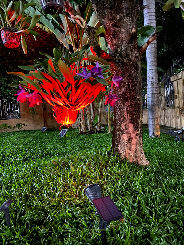 สปอร์ตไลท์ปักสนามโซล่าเซลล์ 7 LED(super bright) (เเสง : แดง)