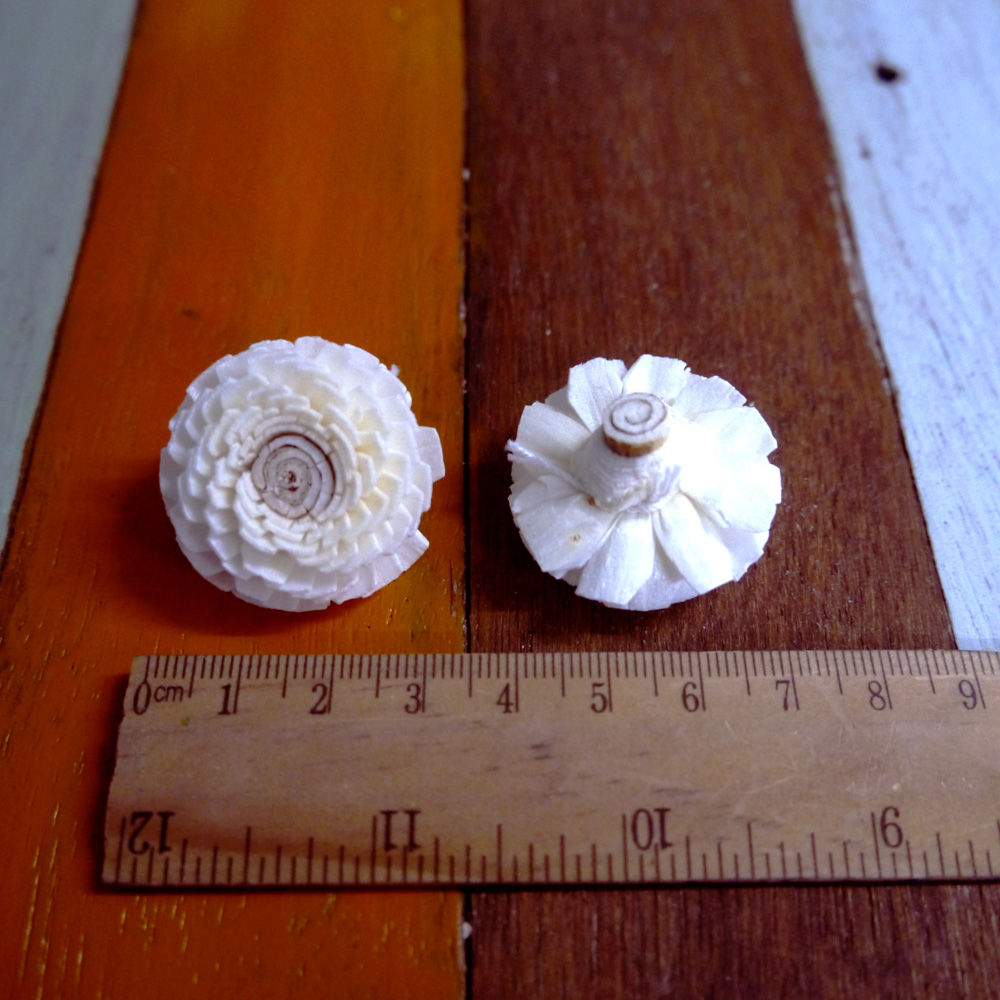 ดอกบานชื่น 3cm Dia.