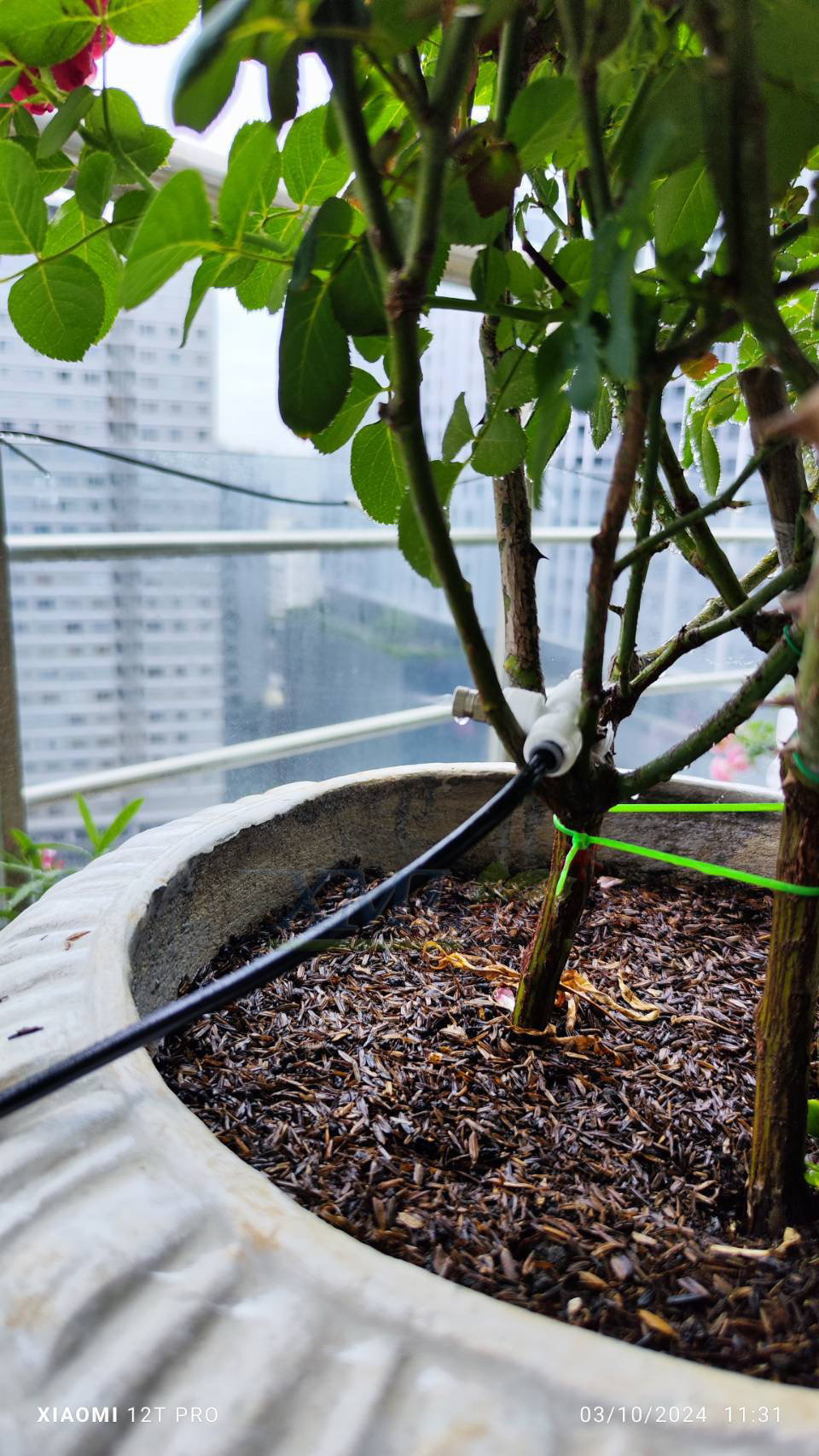 ชุดพ่นหมอก รดน้ำต้นไม้อัจฉริยะ คอนโทรลผ่านมือถือได้ (wifi) + แผงโซล่าเซลล์ 50W