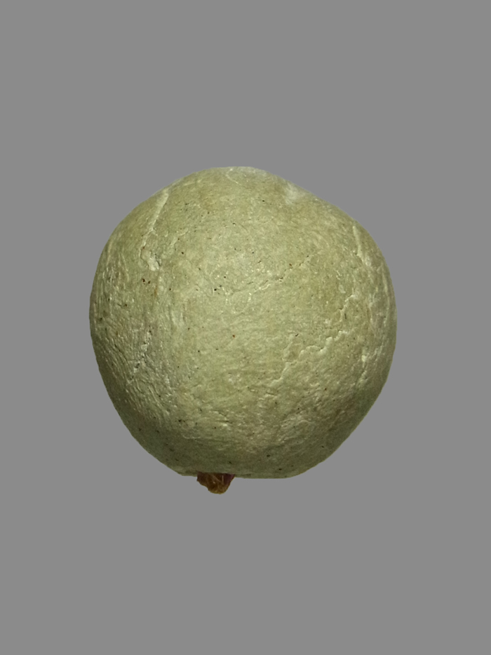 ลูกอมผงพรายกุมาร รุ่นแรก หลวงพ่อสาคร วัดหนองกรับ ปี2530