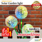 ทรงดอกไม้กลม สีขาว ไฟปักสนามโซล่าเซลล์ (แสง : หลากสี)(1 แถม 1)