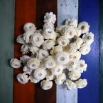 ดอกบานชื่น 3cm Dia.