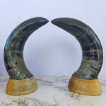 เขาวัวคู่ฐานไม้ สูง 9 นิ้ว