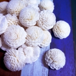 ดอกไม้ดูดน้ำหอม มะลิซ้อน 4cm Dia.