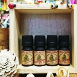 น้ำมันหอมระเหย 100% กลิ่น Eucalyptus(ยูคาลิปตัส) 5 cc.