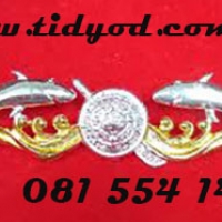 ปีกมนุษย์กบ ราคา 250 บาท