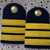 อินทรธนูเครื่องแบบปฎิบัติการ รองผู้อำนวยการ ราคา 250 บาท