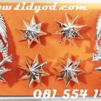 พันตำรวจเอก -ชุบทองคำขาว ราคา 1700 บาท