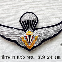 ปีกพาราเซลสีกรม ราคา 150 บาท
