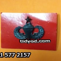 ปีกอเมริกันชั้น2 สีดำ ราคา 200 บาท