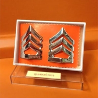 จ่าสิบตำรวจ ชุบทองคำขาว ขาหมุด ราคา 430 บาท