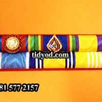 แพรแถบย่อ 2แถว6ชนิด ปช-ปม ราคา 250 บาท