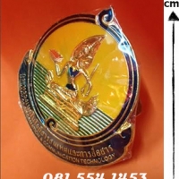 ตราติดหน้ารถกระทรวงไอซีที ราคา 550 บาท