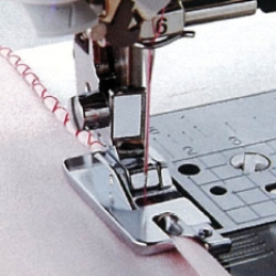 ตีนผีม้วนริมกลม