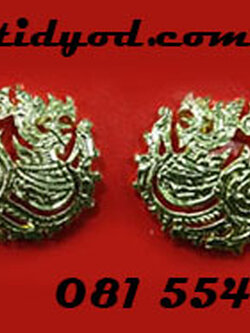 เครื่องหมายติดปกคอเสื้อของกระทรวงต่างๆ